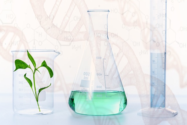 Nouveaux OGM : la bio en danger
