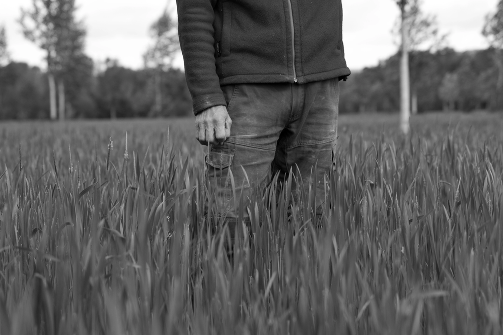 Plan Bio, une deuxième mi-temps qui appelle les prolongations